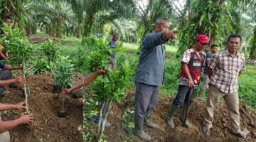 Jika HGU Tidak Ada atau Kedaluwarsa, DPRD Tegaskan PT LNK Tak Berhak Larang Pemanfaatan Tanah oleh Warga